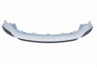Trim/Protective Strip, radiator grille