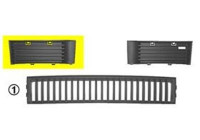 Ventilation Grille, bumper