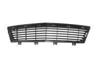 Ventilation Grille, bumper