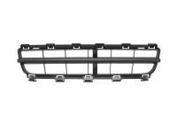 Ventilation Grille, bumper