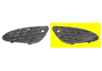 Ventilation Grille, bumper