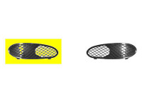 Ventilation Grille, bumper