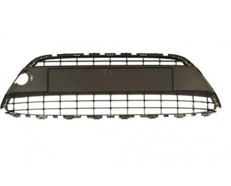 Ventilation Grille, bumper