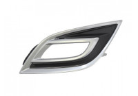 Ventilation Grille, bumper