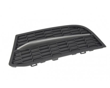 Ventilation Grille, bumper, Image 2