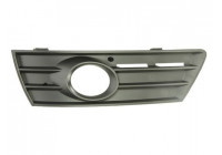 Ventilation Grille, bumper