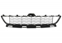 Ventilation Grille, bumper