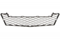 Ventilation Grille, bumper