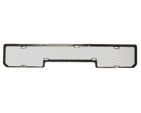 Ventilation Grille, bumper