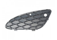 Ventilation Grille, bumper