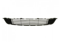 Ventilation Grille, bumper