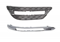 Ventilation Grille, bumper