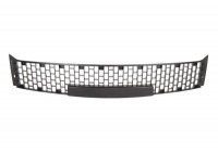 Ventilation Grille, bumper