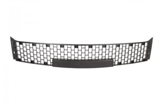 Ventilation Grille, bumper