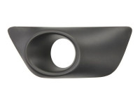 Ventilation Grille, bumper