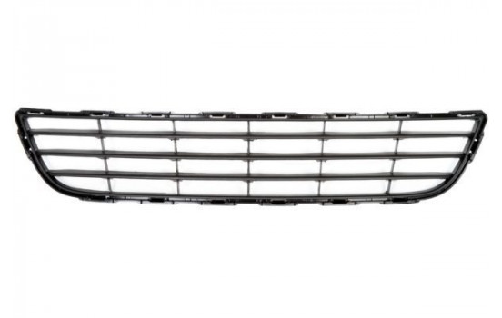 Ventilation Grille, bumper