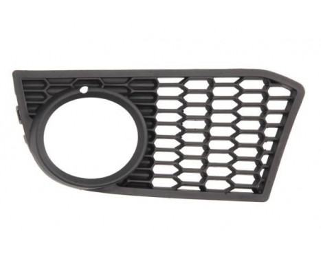 Ventilation Grille, bumper