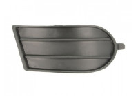 Ventilation Grille, bumper