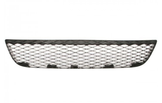 Ventilation Grille, bumper