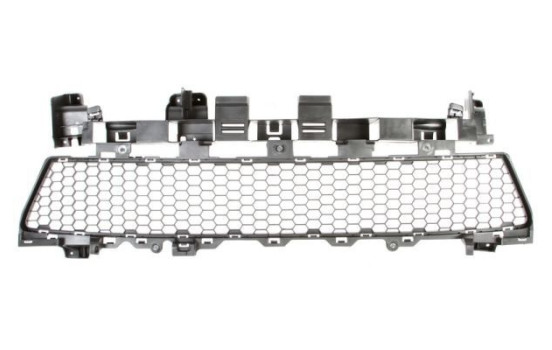 Ventilation Grille, bumper