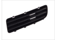 Ventilation Grille, bumper