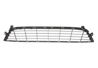 Ventilation Grille, bumper