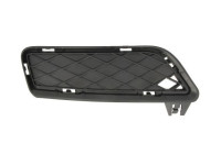 Ventilation Grille, bumper