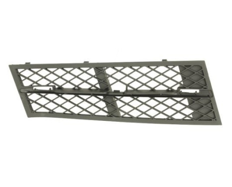 Ventilation Grille, bumper