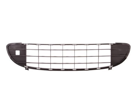 Ventilation Grille, bumper