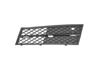 Ventilation grille, bumper