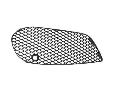 Ventilation grille, bumper