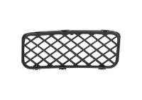 Ventilation grille, bumper