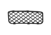 Ventilation grille, bumper