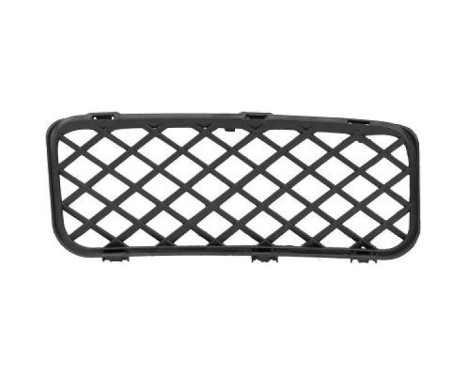 Ventilation grille, bumper