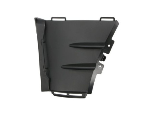 Ventilation grille, bumper