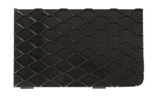 Ventilation grille, bumper