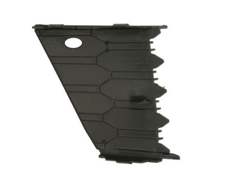 Ventilation grille, bumper, Image 2