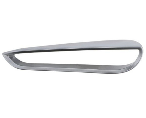 Ventilation grille, bumper