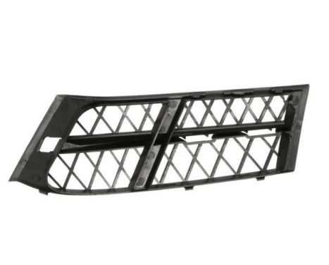 Ventilation grille, bumper, Image 2