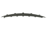 Ventilation grille, bumper