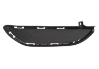 Ventilation grille, bumper