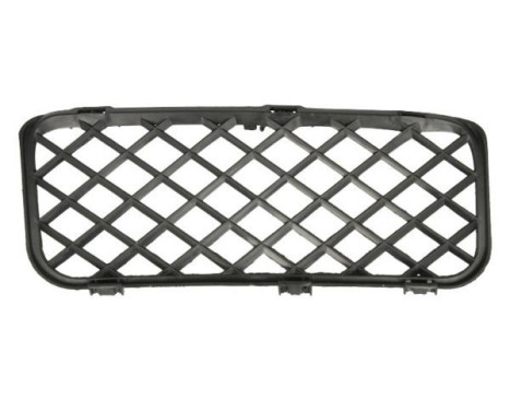 Ventilation grille, bumper