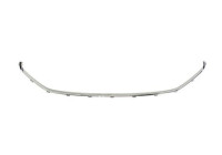 Ventilation grille, bumper