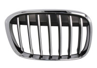 Ventilation grille, bumper