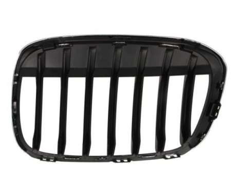 Ventilation grille, bumper, Image 2