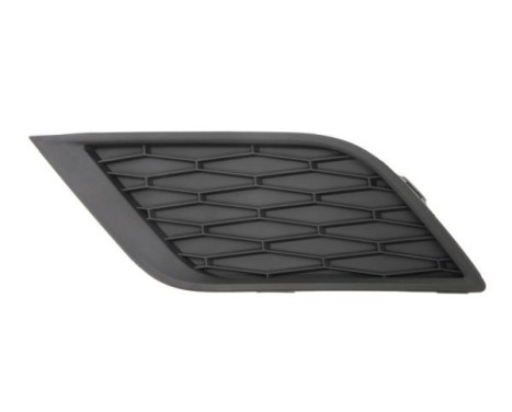 Ventilation grille, bumper