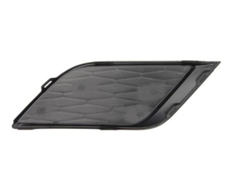 Ventilation grille, bumper, Image 2