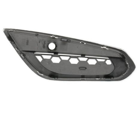 Ventilation grille, bumper, Image 2