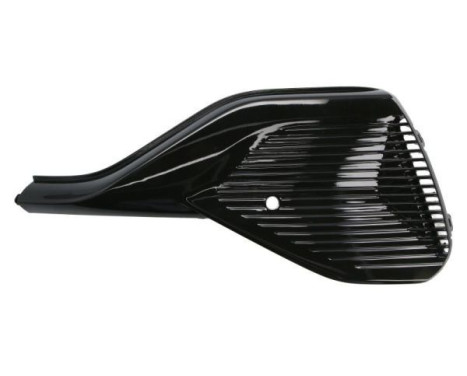 Ventilation grille, bumper