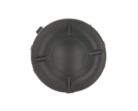 Ventilation grille, bumper